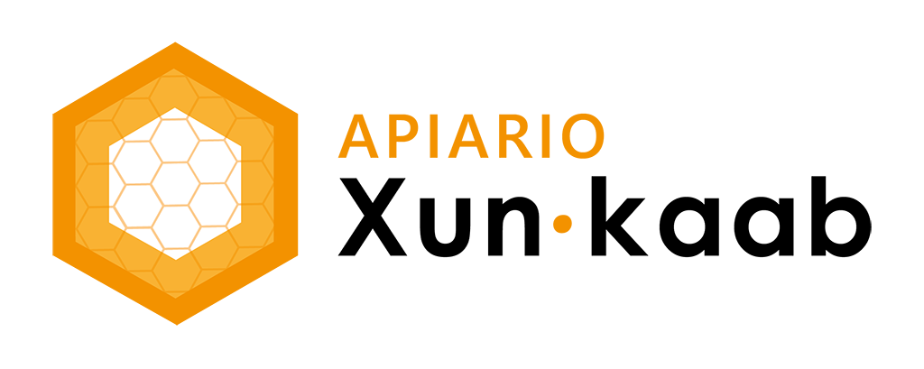 Apiario Xun Kaab